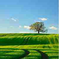 语‍义﻿知﻿识﻿库‌